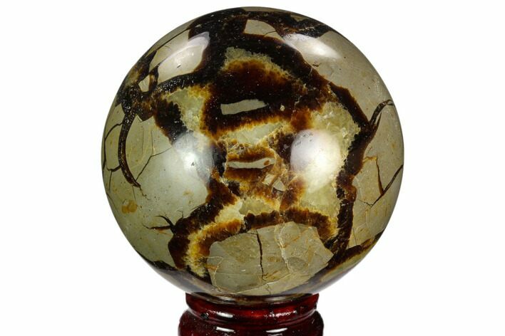 Polished Septarian Sphere - Madagascar #122924